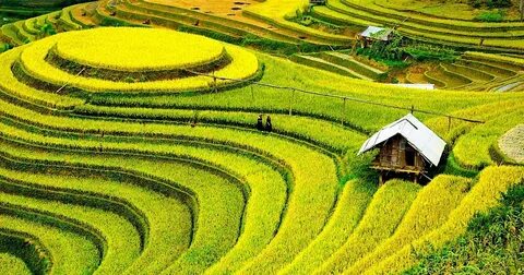Hotspot Matrix và Khánh Hòa: Đề xuất triển khai xây dựng Đề án phát triển điểm du lịch_Ma trận điểm truy cập nền tảng